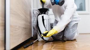 Best Residential Pest Control  in Kingston, NJ